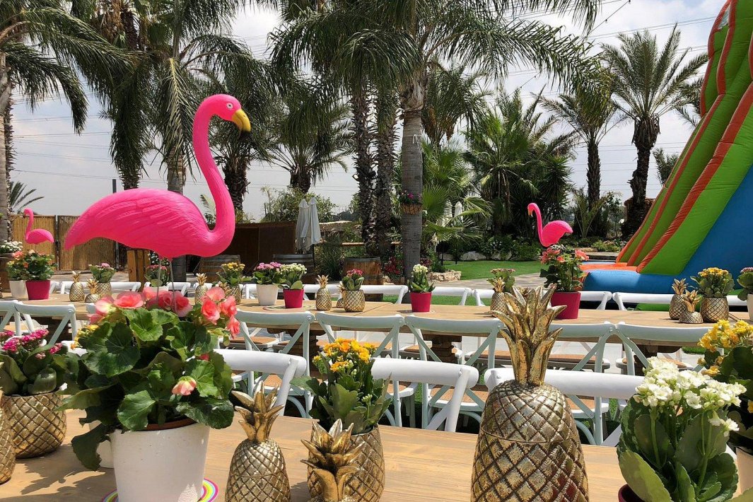 חלום בחווה אורבן - Urban