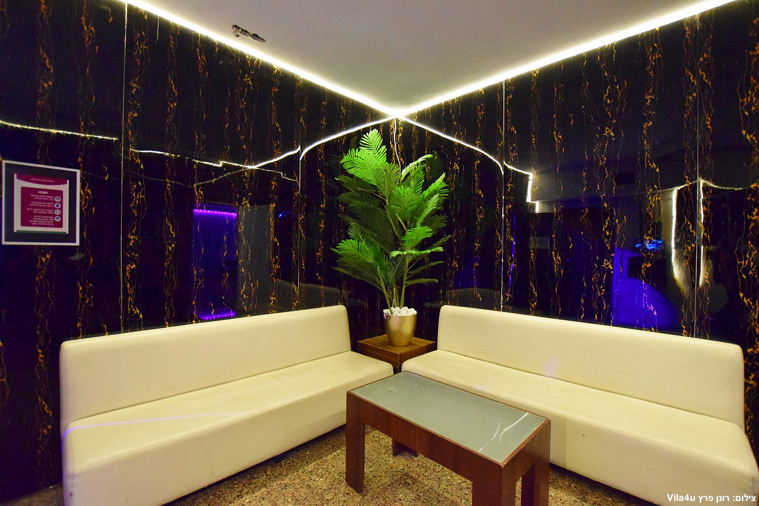 לופט אלמוגים נתניה