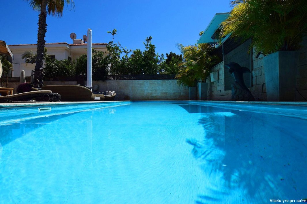 YS פול איוונטס