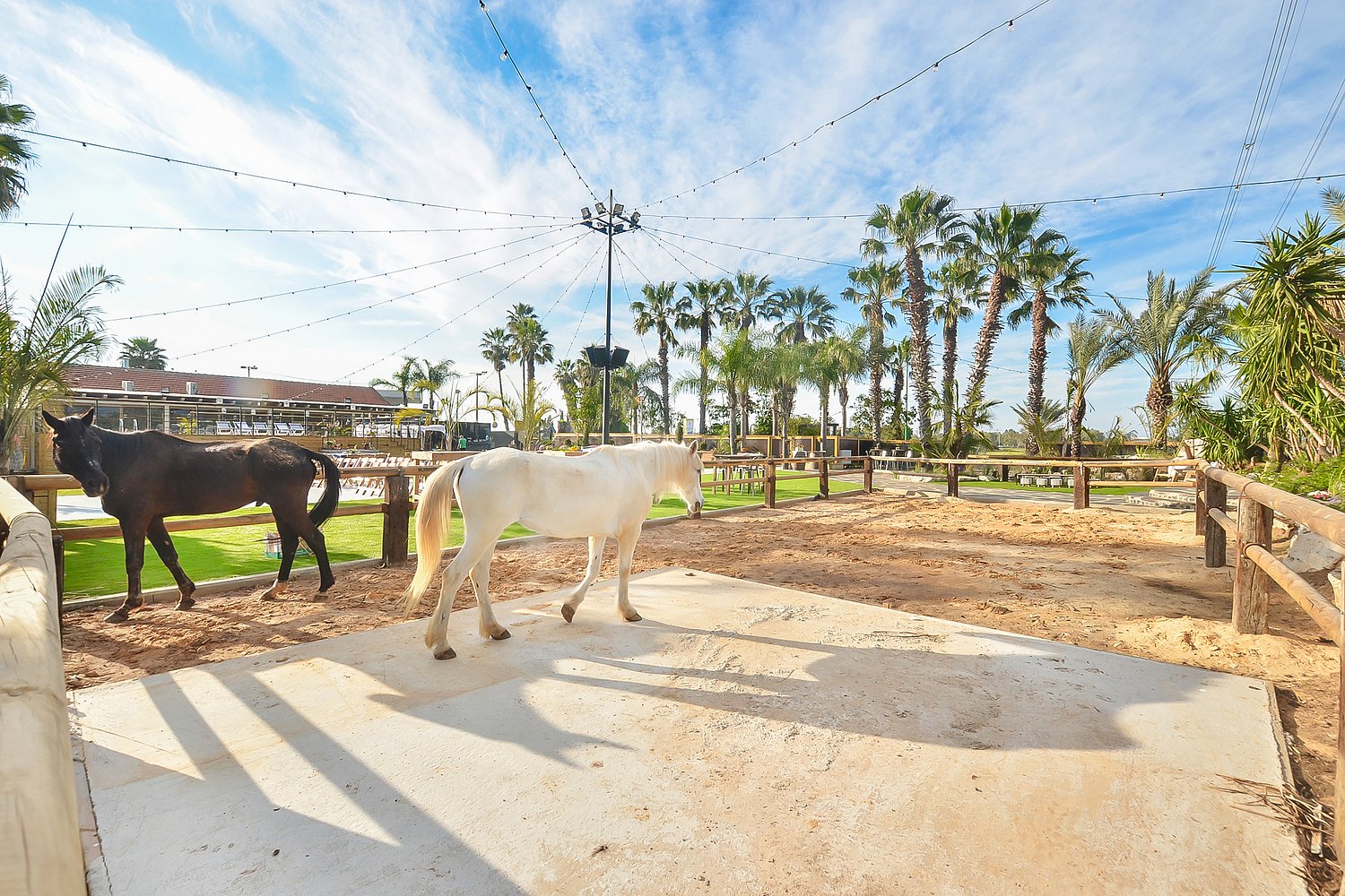 חלום בחווה אורבן - Urban