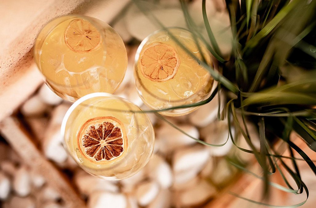 לופט אקסיטו