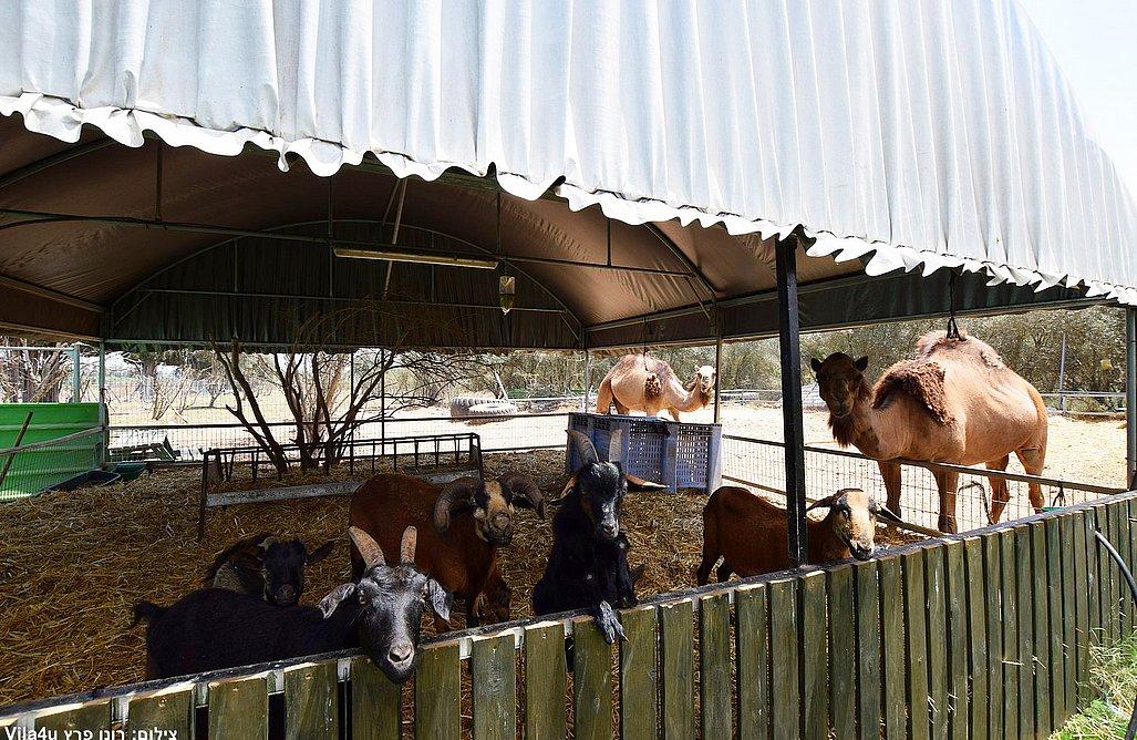 גן בחווה חדרה - מתחם אירועים ייחודי