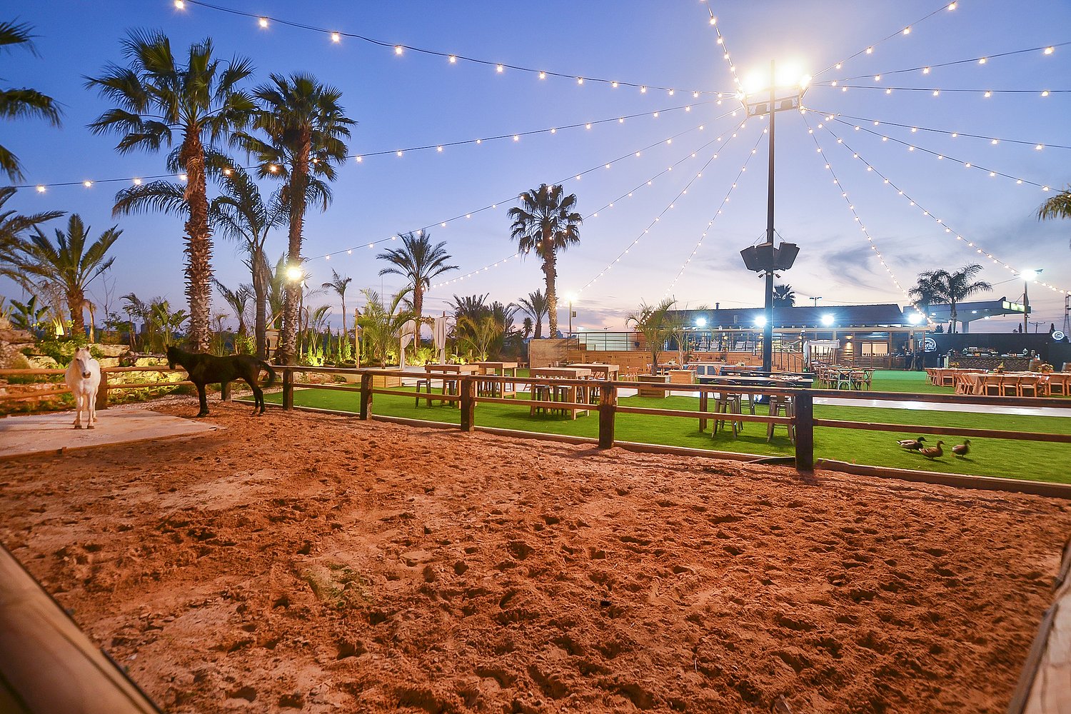 חלום בחווה אורבן - Urban