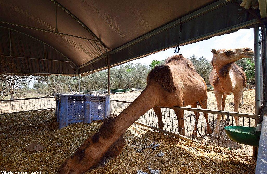 גן בחווה חדרה - מתחם אירועים ייחודי