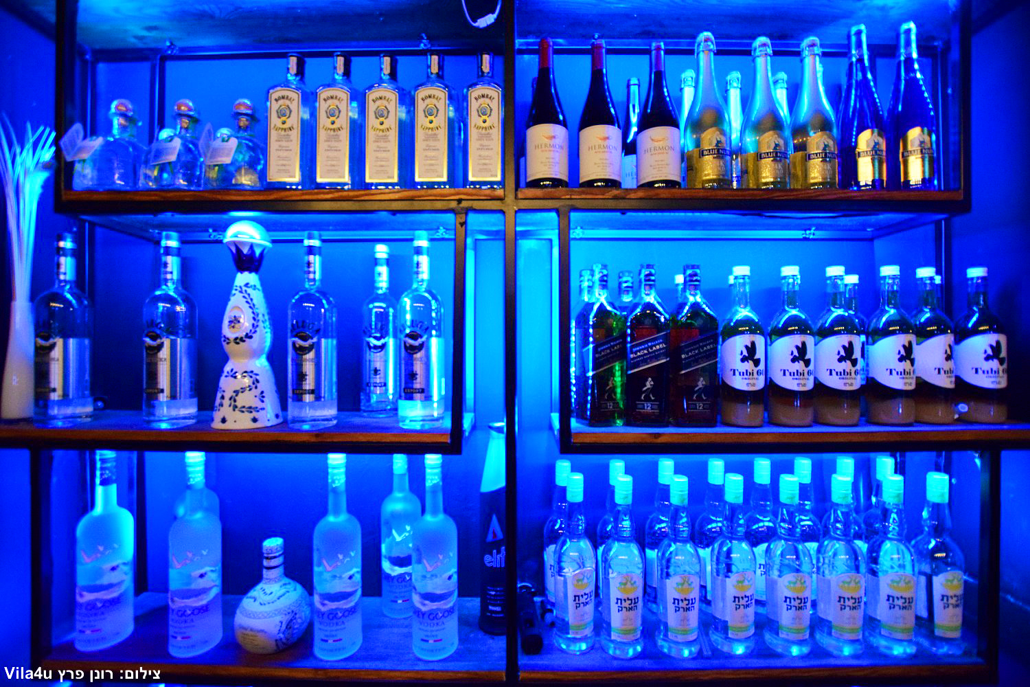 פרדייס לופט