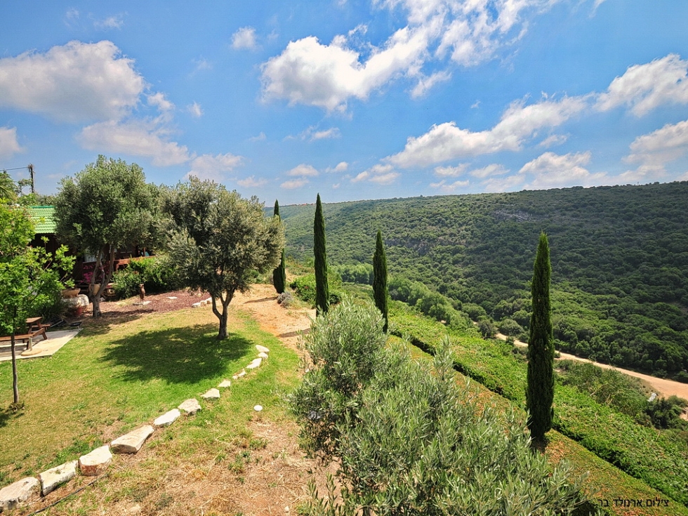 וילה שוויצריה בגליל